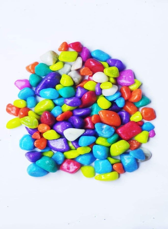 Parakh Multicolour Stone Pebble 450 gm - Image 3